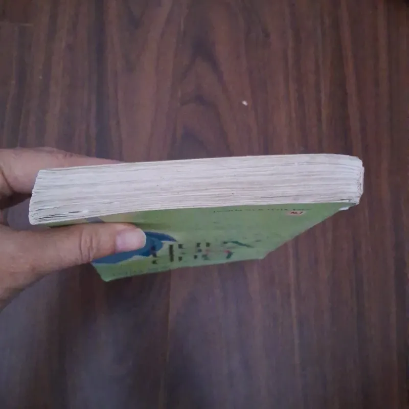 Búp sen xanh 748154