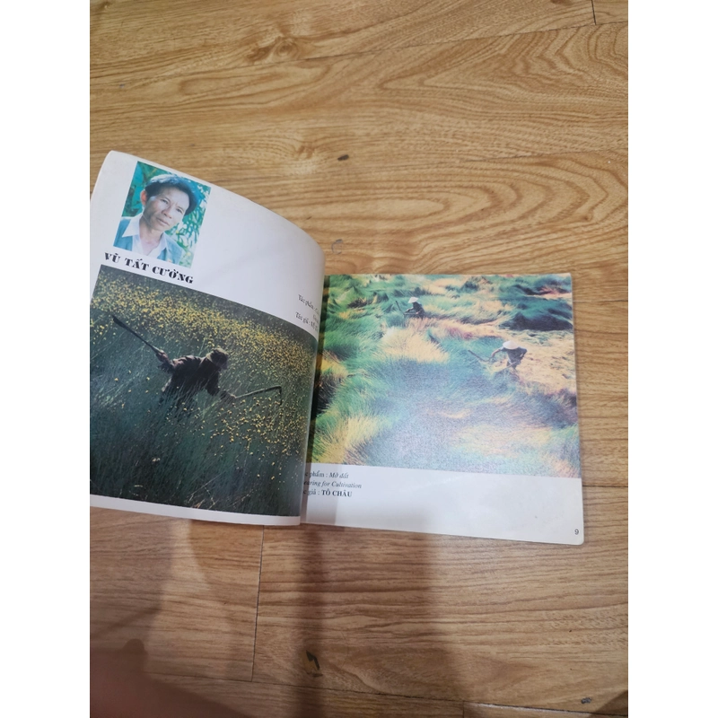 Tuyển tập ảnh LONG AN QUÊ TÔI 400112