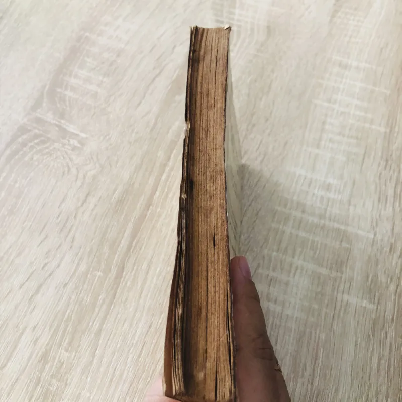 ĐỘNG TỪ TIẾNG ANH 974789