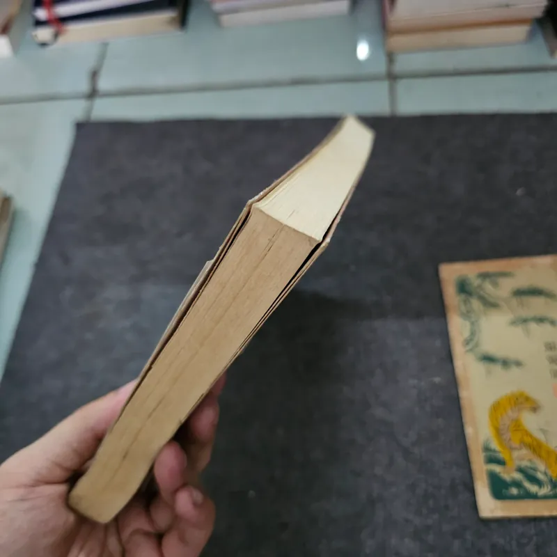 Thả một bè lau - Thích nhất hạnh 737269