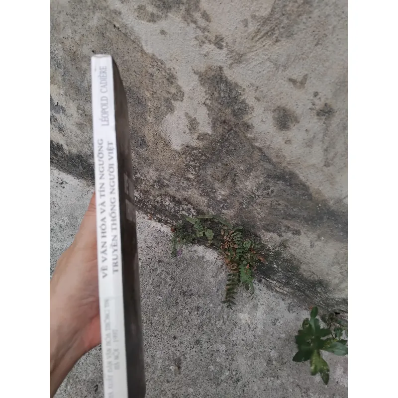 Về văn hóa và tín ngưỡng truyền thống người Việt của Leopold Cadière 1026178