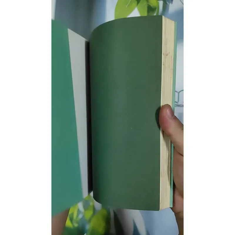 Gió Lẻ Và 9 Câu Chuyện Khác - Nguyễn Ngọc Tư 798456