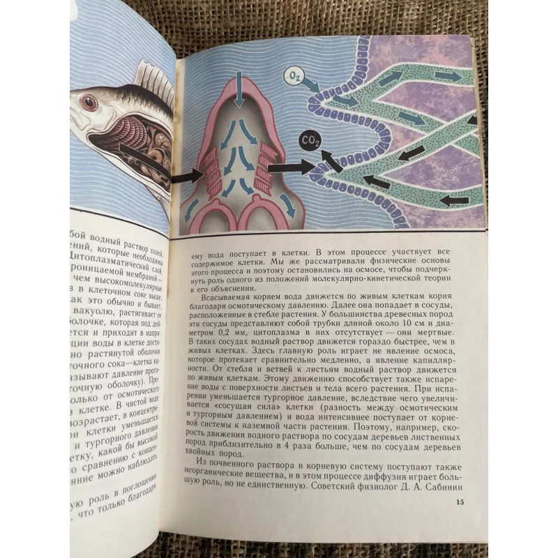 Перекрестки физики, химии и биологии; (Sự giao thoa hóa học, vật lý và y học); Р. Ильченко 1013117