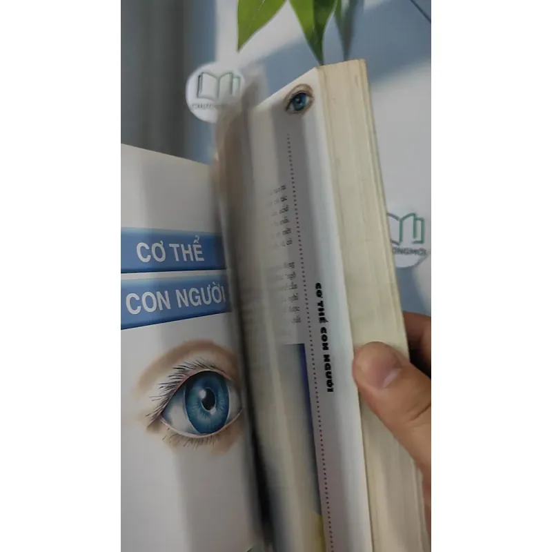 [MIỄN PHÍ BỌC SÁCH] Why - Tôi muốn biết vì sao...? - Phạm Thiên Tứ dịch 798377