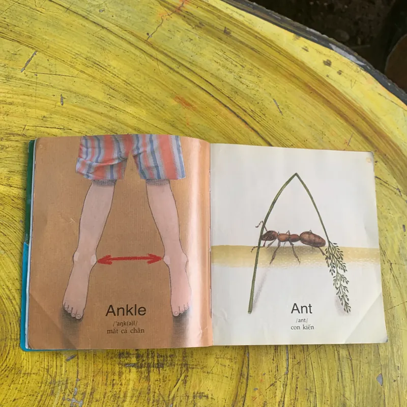 COMBO TỪ VỰNG TIẾNG ANH: HIỂU ĐỂ NHỚ & NHỮNG CHỮ CÁI KÌ DIỆU 737766