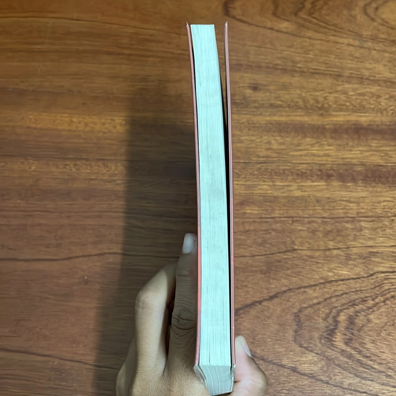 II Tiểu Thuyết Dã Sử: Nữ Sĩ Thời Gió Bụi - Lê Phương Liên - 2021 498653