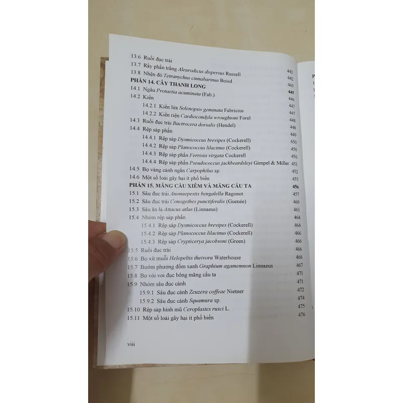 CÔN TRÙNG NHỆN GÂY HẠI CÂY ĂN TRÁI....  799628