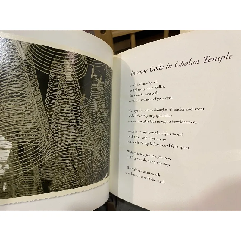 Behind Blue Eyes: Sonnets from the Vietnamese - Robert Hughes 576546