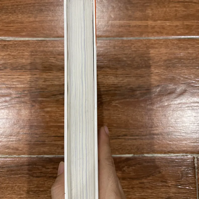 Lịch sử nghệ thuật phương Tây - Michael Levey (10) 1002683