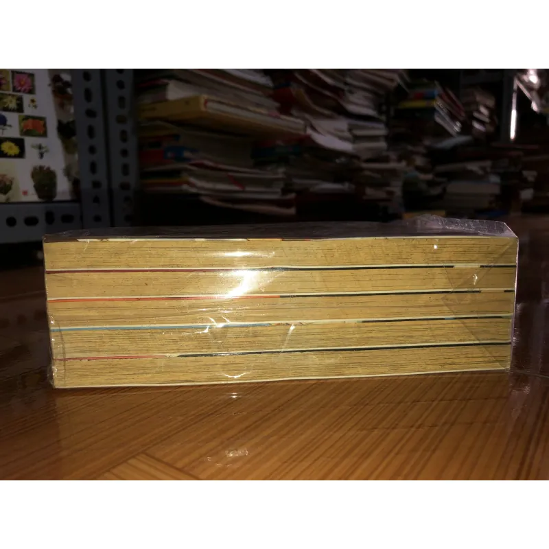 Bộ tứ kim cương - Mizushiro Setona 791769