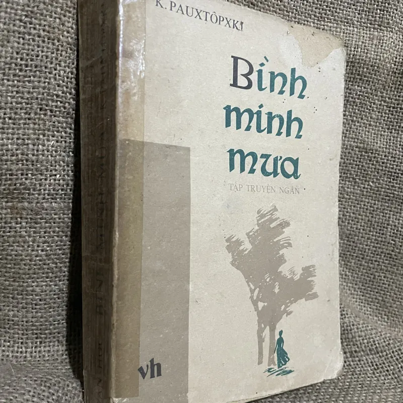 Bình minh mưa, Bông Hồng vàng , một mình với mùa thu (tiểu luận, chân dung) - Paustovsky 719411