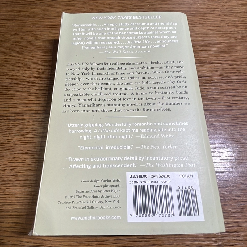 A little life Hanya Yanagihara 377839