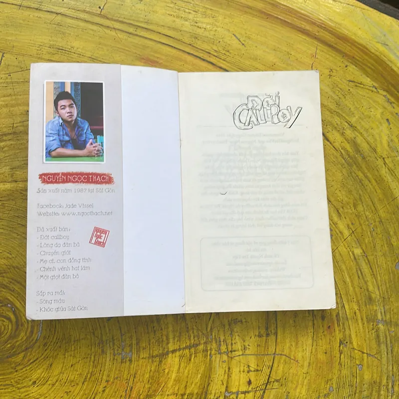 ĐỜI CALLBOY - NGUYỄN NGỌC THẠCH - văn học 2014 738007