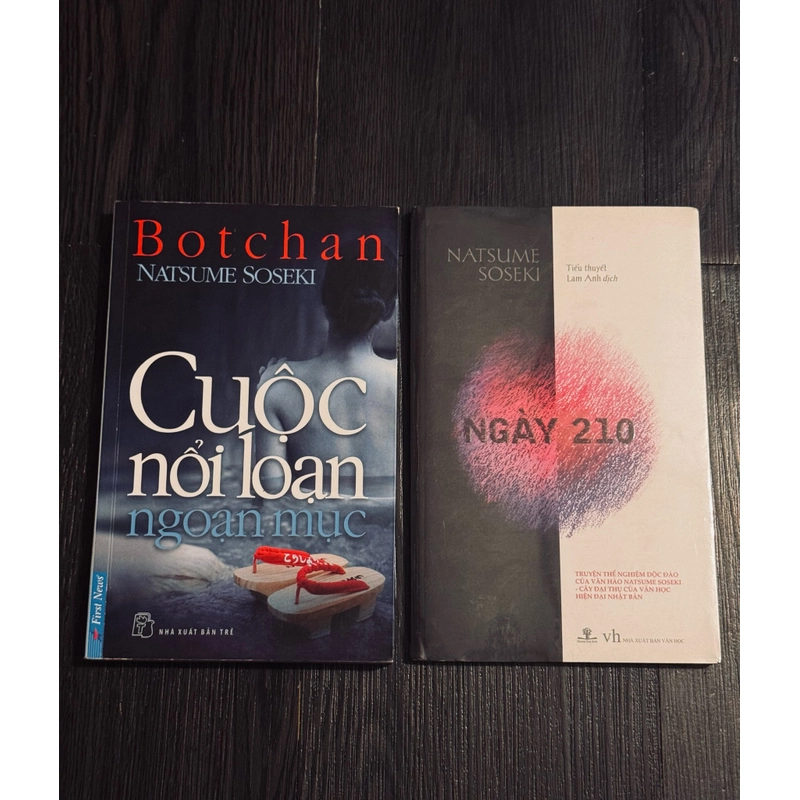 Combo Cuộc nổi loạn của botchan + ngày 210 - Natsume Soseki 519470