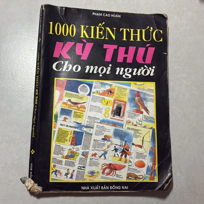 1000 kiến thức kỳ thú cho mọi người 791988