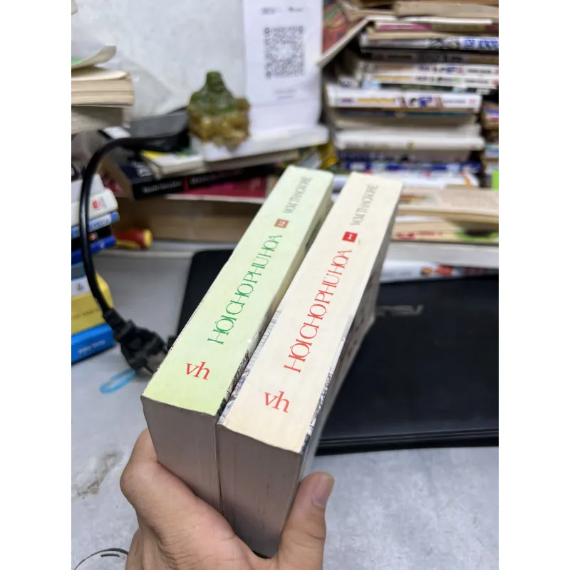 HỘI CHỢ PHÙ HOA  1004369