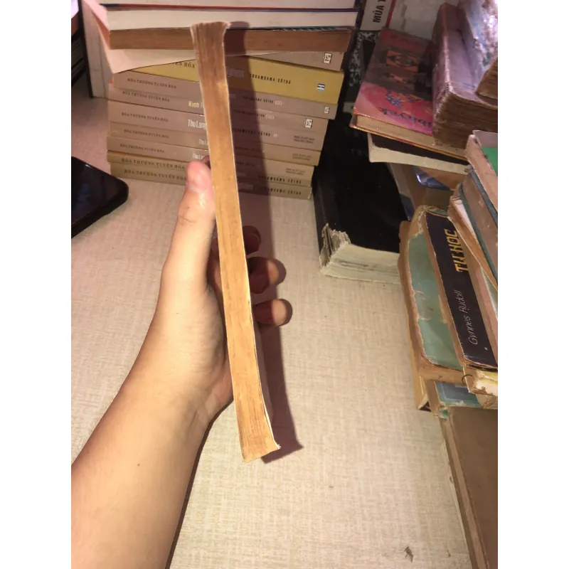 Tủ sách văn học trong nhà tường Trần Tế Xương 937135