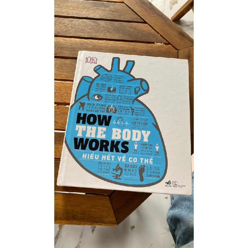 How The Body Works 531727
