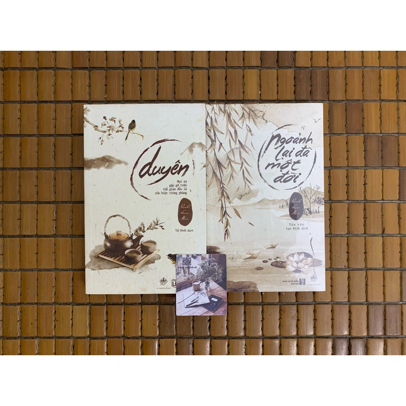 Bạch Lạc Mai Duyên, Ngoảnh lại đã một đời (sách mới nguyên seal) 529945