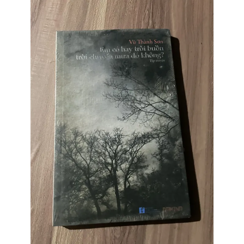 Em có hay trời buồn - Vũ Thành Sơn  750439