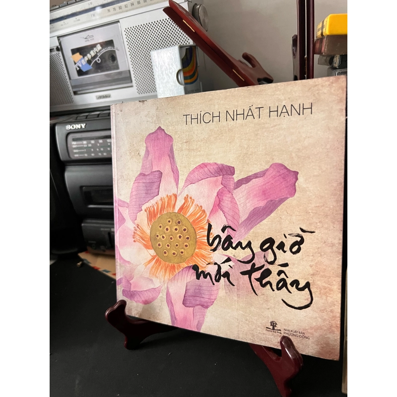 Bây giờ mới thấy 399218