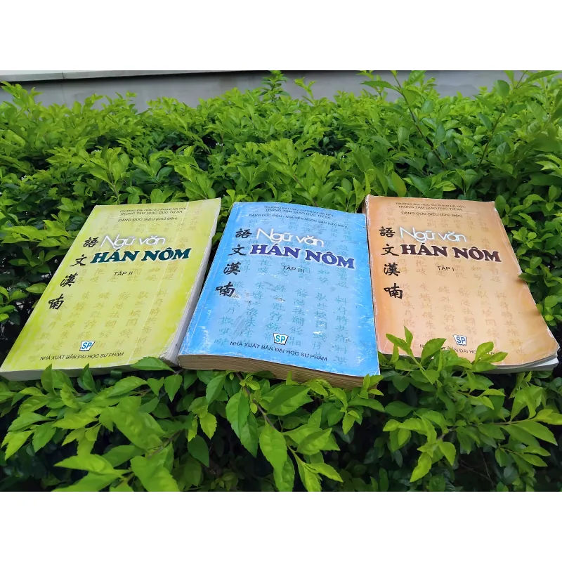 Ngữ văn Hán Nôm do Đặng Đức Siêu chủ biên 970756