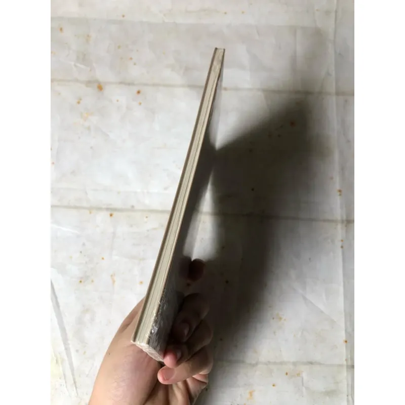 Cái Bi - Karl Jaspers 783117