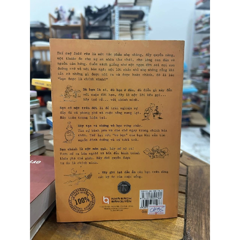 Trí Tuệ Loài Rùa - Donna DeNomme - Donna DeNomme 992031