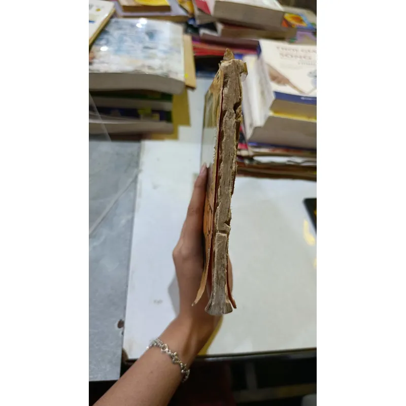 CHÚ BÉ MI-SCA 606458