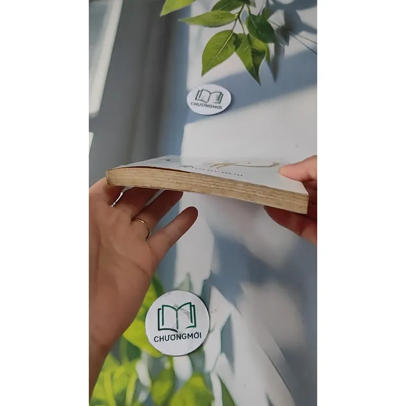 Tiêu Gì Cho Thời Gian Để Sống - Hoàng Việt Hằng 727247