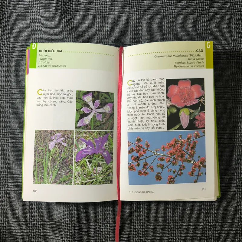 [Bìa cứng] Từ điển tranh về các loài hoa - Lê Quang Long 590816