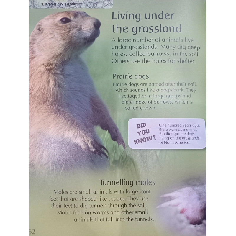The Children's Encyclopedia of ANIMALS 550646
