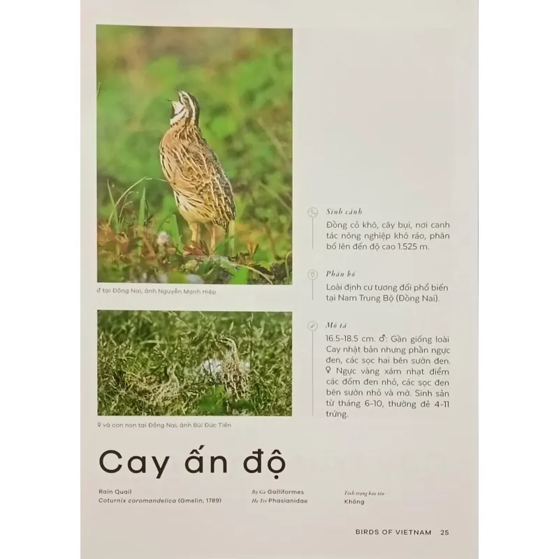 Các loài chim Việt Nam (Lê Mạnh Hùng) 736184