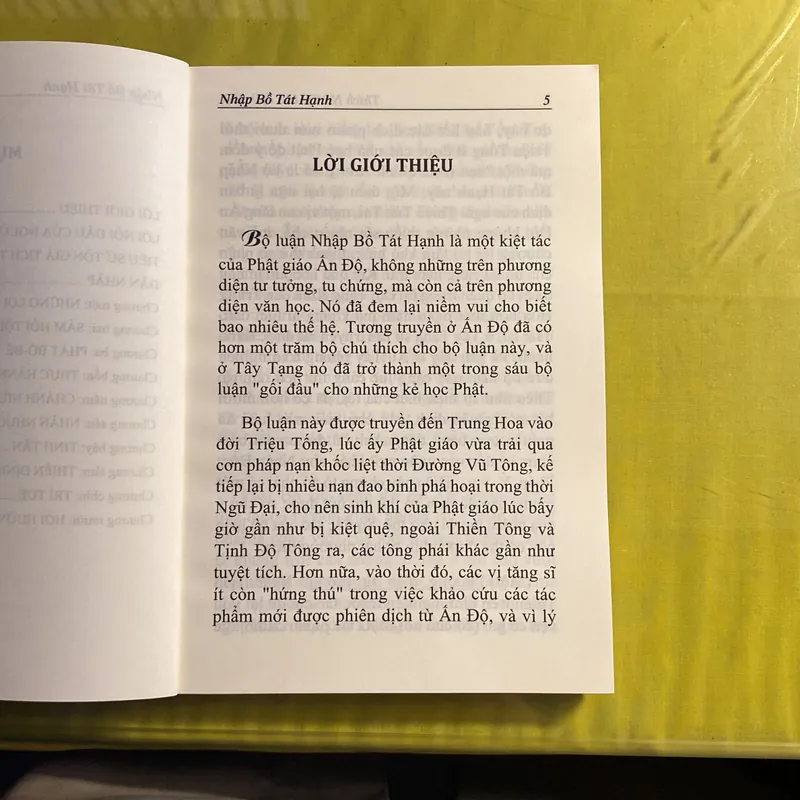 Nhập Bồ Tát Hạnh, Bồ Tát Tích Thiên(Shantideva)- Việt Dịch: Thích Nữ Trí Hải 688768