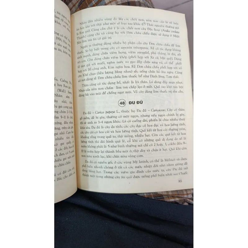 CÂY RAU LÀM THUỐC - VÕ VĂN CHI 746967