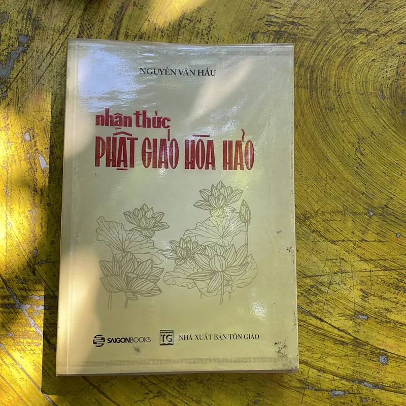 COMBO PHẬT GIÁO HOÀ HẢO- NHẬN THỨC PHẬT GIÁO HOÀ HẢO & SẤM GIẢNG THI VĂN GIÁO LÝ 687924
