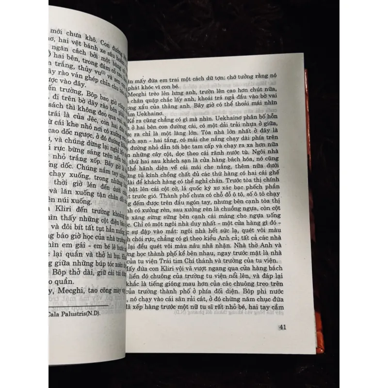 Tiếng chim hót trong bụi mận gai 786021