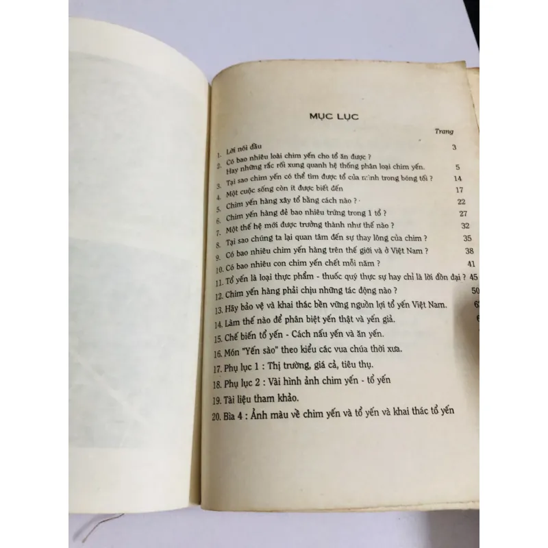 YẾN SÀO VÀ ĐỜI SỐNG CHIM YẾN HÀNG 749083