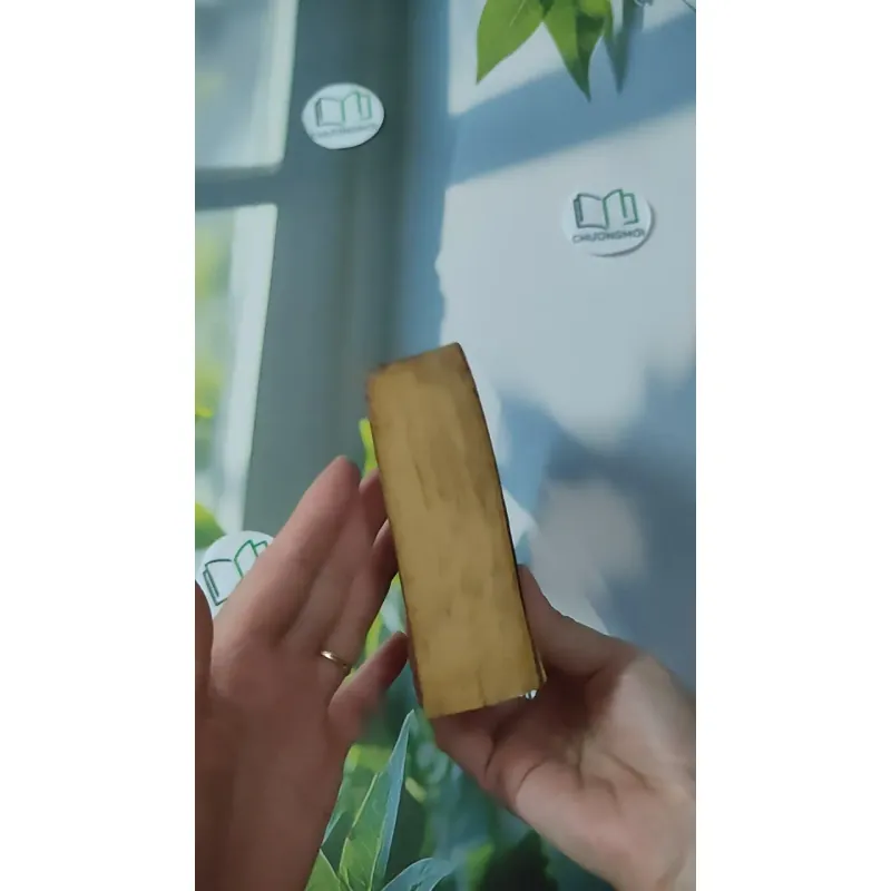 [MIỄN PHÍ BỌC SÁCH] [XƯA] Lady Oracle (1999) - Margaret Atwood 1027590