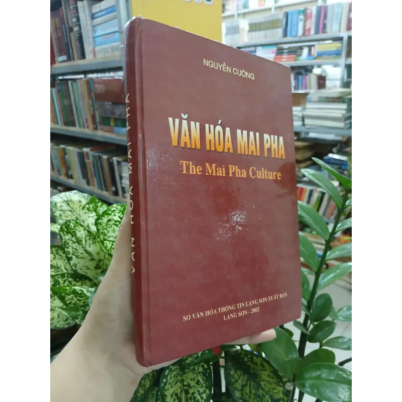 VĂN HÓA MAI PHA - NGUYỄN CƯỜNG 788706