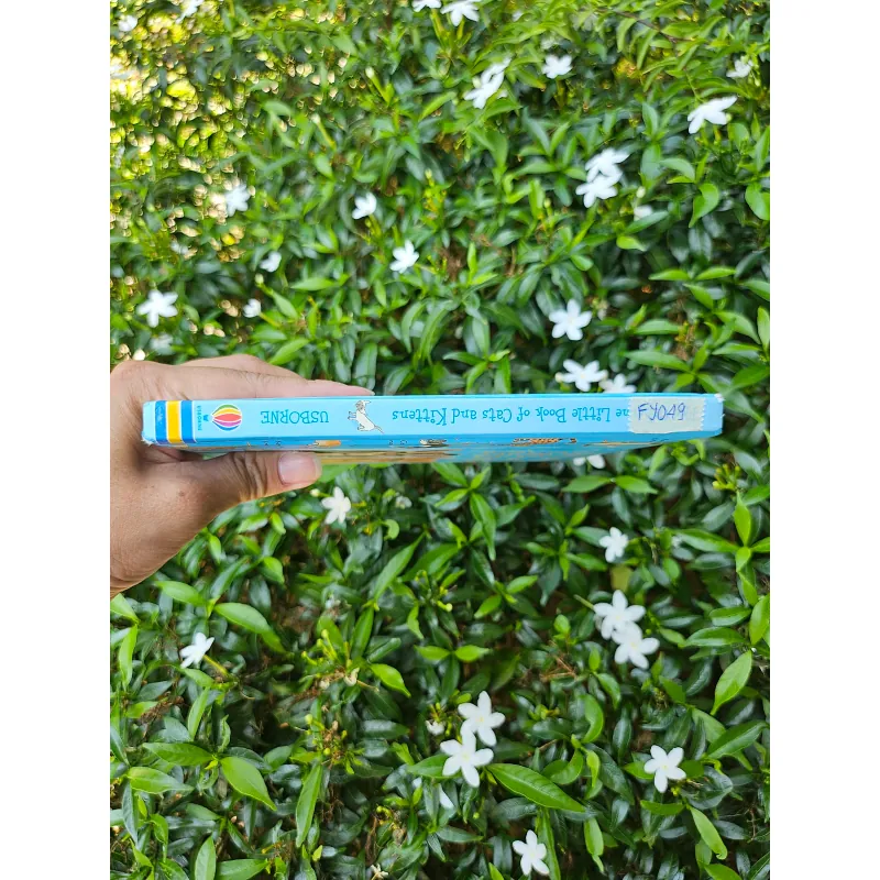 Cats and Kittens 995238