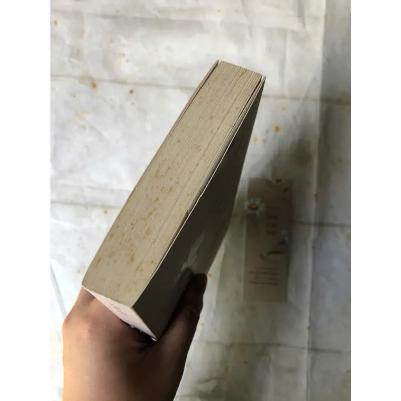 Hoa Cúc Dại - Kim Ân 974418