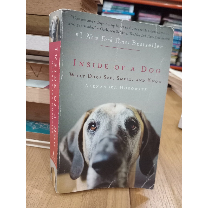 Inside of a dog - Alexandra Horowitz 537801