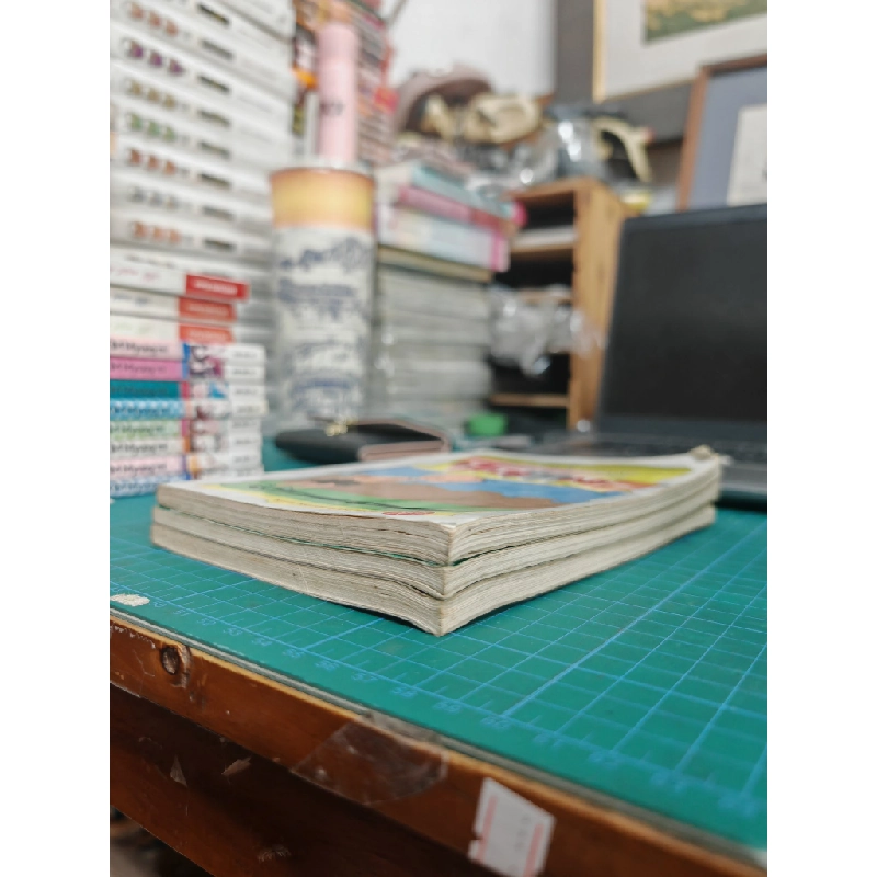 Truyện tranh chuyện đời lưu lạc của tam mao 501565
