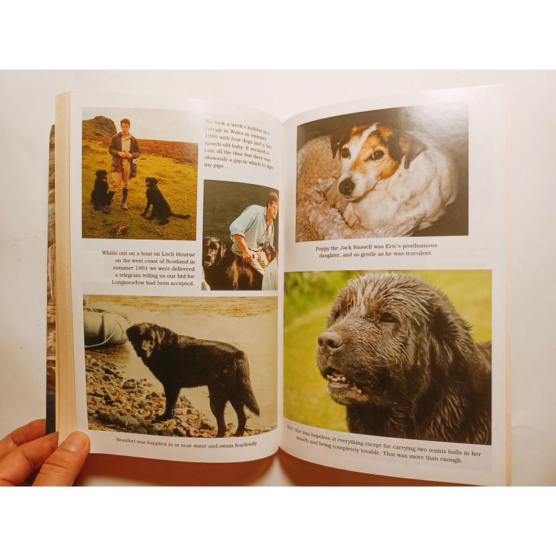 Nigel : My Family And Other Dogs 462000