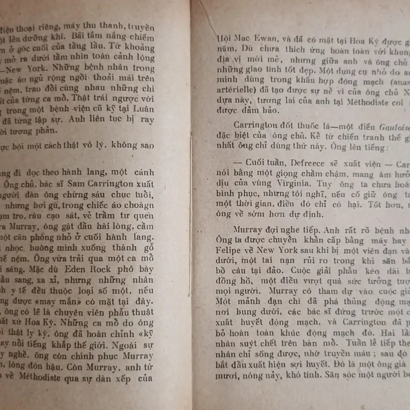 Khách lạ ở Thiên Đường 🌻 575473