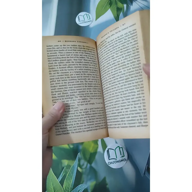 Sharpe's Triumph - Bernard Cornwell 1026748