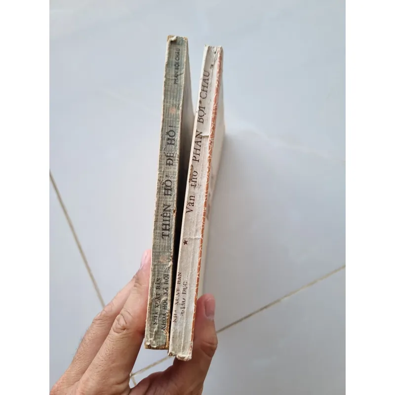 Thiên hồ, Đế hồ và văn thơ Phan Bội Châu 1025813