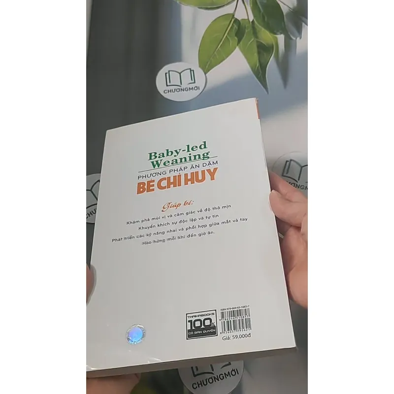 Phương pháp ăn dặm bé chỉ huy 688485