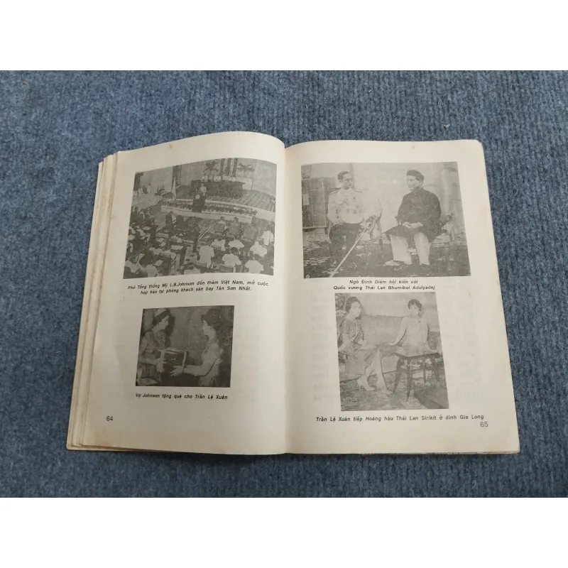 TRẦN LỆ XUÂN: GIẤC MỘNG CHÍNH TRƯỜNG 694847